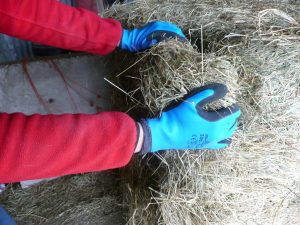 ovelyhands.co.uk Showa 306 gloves hay